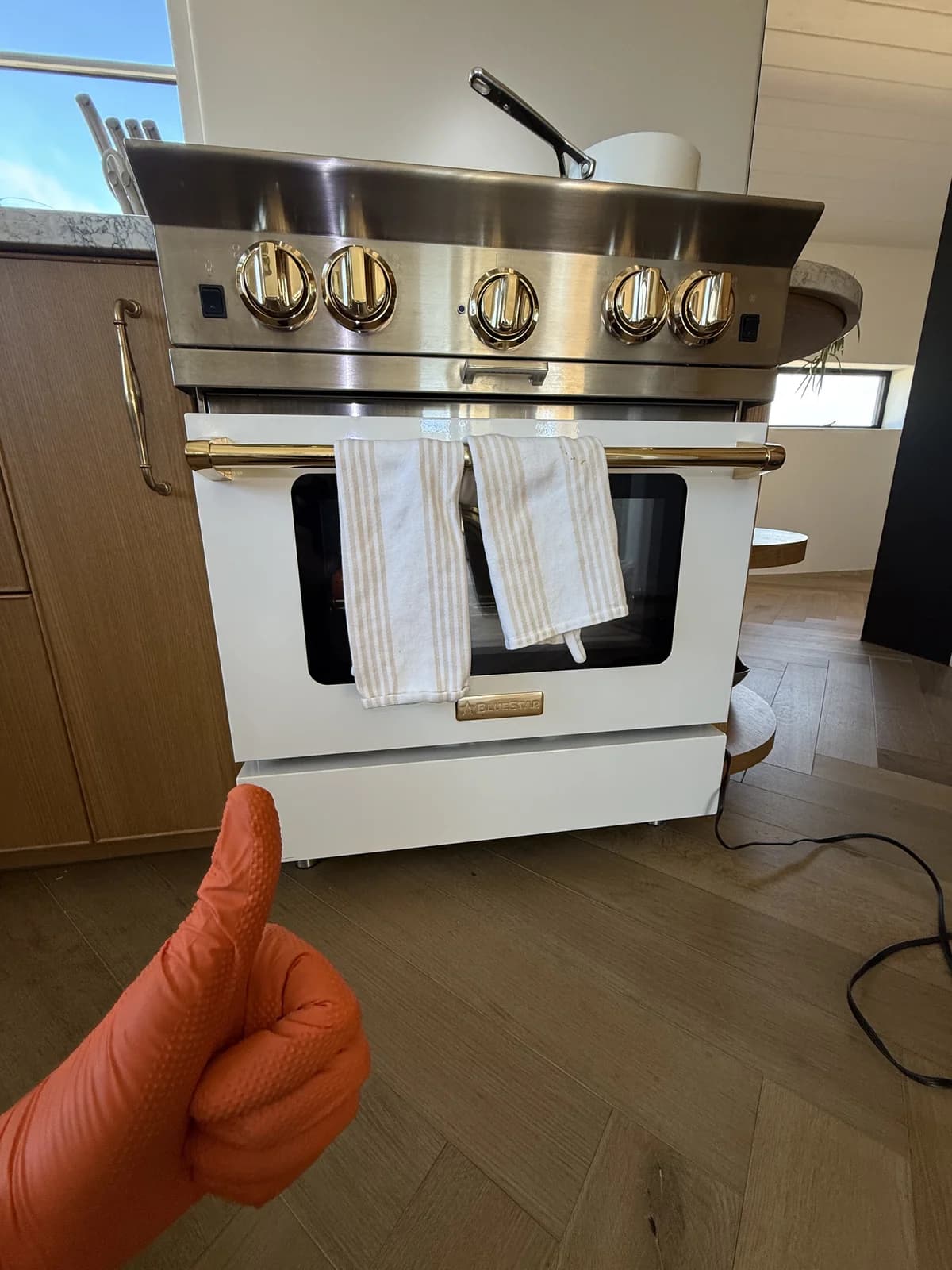 BlueStar professional range serviced by OPUS in San Diego