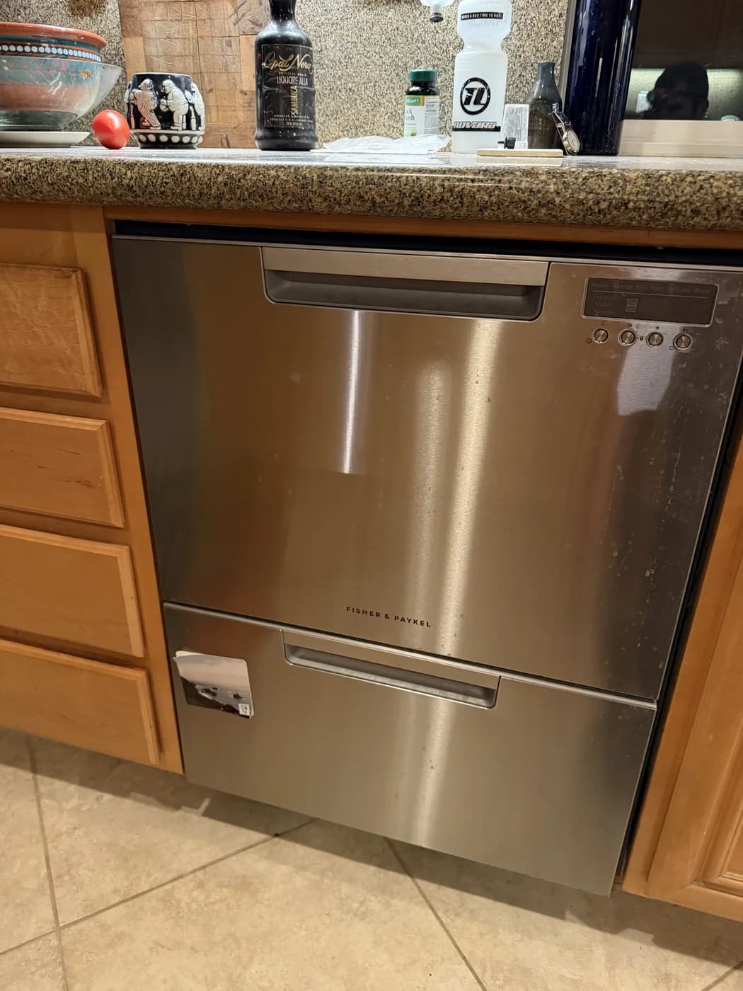 Fisher & Paykel dishwasher diagnostic by OPUS in San Diego